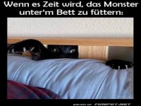 Monster unterm Bett entdeckt!