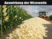 Popcorn-Explosion auf dem Feld