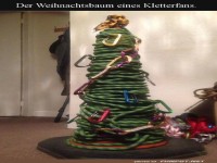 Kletterbaum f�r Adventsprofis