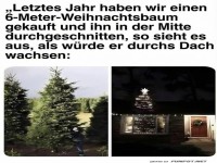 Weihnachtsbaum mit Dach Charme