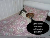 wie w�re anklopfen gewesen?