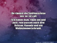 Meister der Sp�lmaschinen-Tetris