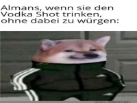 Wenn der Almans-Doggo standhaft bleibt!