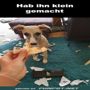 Hab-ihn-klein-gemacht.jpg von Queen92