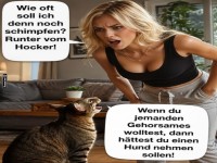 Katzendrama: Wer erzieht hier wen?