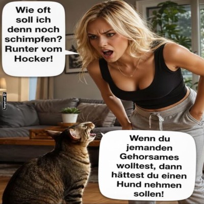 Katzendrama:-Wer-erzieht-hier-wen?.jpg von Brandon