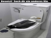 Wenn M�wen die Toilette besetzen