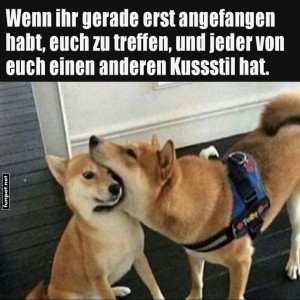 K�sschenchaos-beim-Hunde-Date!.jpg von Queen40