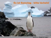 Es ist Samstag