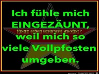 Zaun