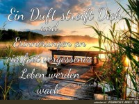 Ein Duft streift dich