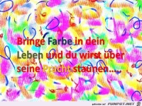 bringe farbe in dein leben