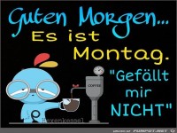 Guten Morgen