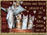 Schoene neue Woche