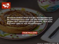 Nussschnecken