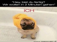 Noch nicht ganz fertig