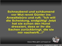 Schnaubend und sch�umend vor Wut rennt G�nter ins...