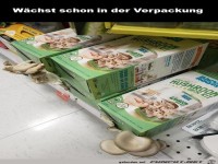 W�chst hervorragend