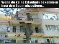 Wenn du keine Erlaubnis hast, den Baum abzusgen