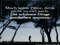 Die schnen Dinge geschehen spontan