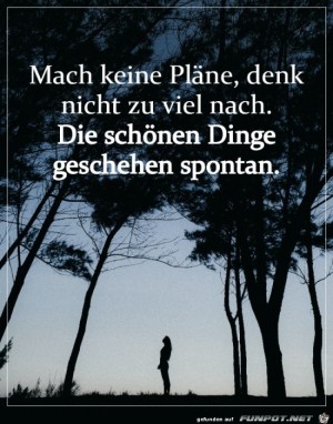 Die-schnen-Dinge-geschehen-spontan.jpg auf www.funpot.net