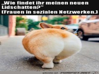 Wie findest du den Lidschatten?