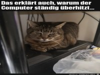 Deshalb �berhitzt der Computer