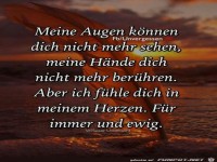 Meine Augen knnen dich nicht mehr sehn