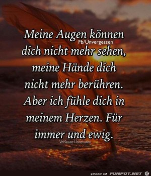 Meine-Augen-knnen-dich-nicht-mehr-sehn.jpg auf www.funpot.net