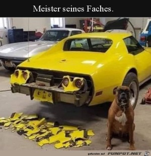 Ganze-Arbeit-geleistet.jpg auf www.funpot.net