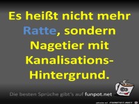 Es heit nicht mehr Ratte