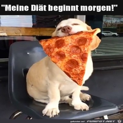 Hund-ist-gl&uuml;cklich.jpg von Pola