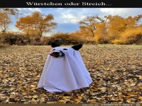 W�rstchen oder Streich