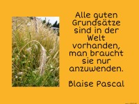 Alle guten Grunds�tze