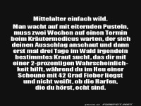 Mittelalter: Die wilden Zeiten