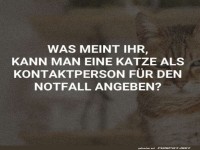 Katze als Notfallkontakt: Gute Idee?