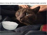 Katzenjammer �ber Oma's Erbe
