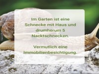 Schnecken-Hausbesichtigung Deluxe