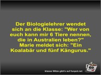 Der Biologielehrer wendet sich an die Klasse