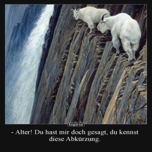 fun-Bild: Mutige Ziegen auf Abenteuersuche