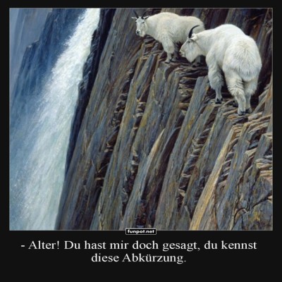 Mutige-Ziegen-auf-Abenteuersuche.jpg von Tarik1967