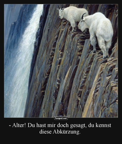 Mutige-Ziegen-auf-Abenteuersuche.jpg auf www.funpot.net