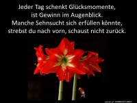 Jeder Tag schenkt Gl�cksmomente