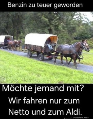 Pferdekutsche-gegen-Spritpreise.jpg auf www.funpot.net