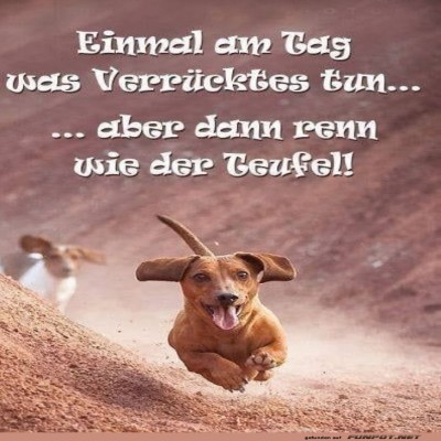 T&auml;gliche-Dackel-Dosis-Abenteuer.jpg von Justus2002