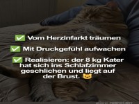 Wenn der Kater Nachtw�chter spielt
