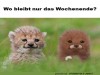 weiter