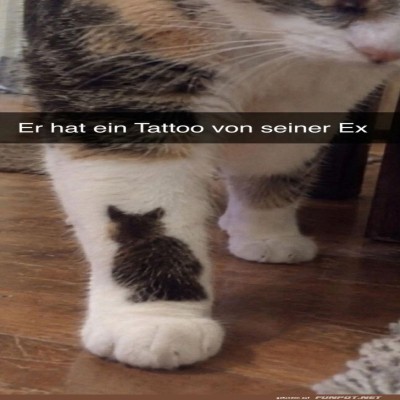 Das-frische-Tatzen-Tattoo.jpg von Sahneschnitte