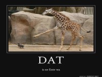 Giraffe trifft auf mutige Ente