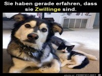 Sie haben gerade erfahren